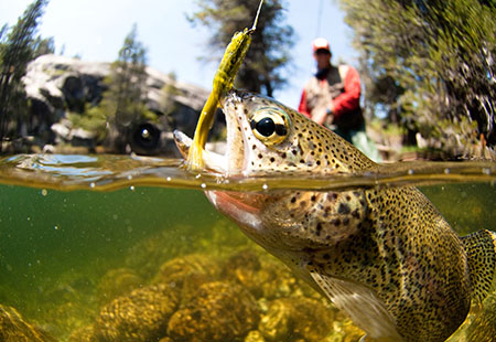 Miles City Recreation fishing recreation